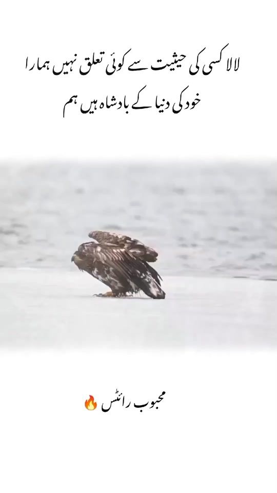 TikTok video thumbnail by eagle.lover1