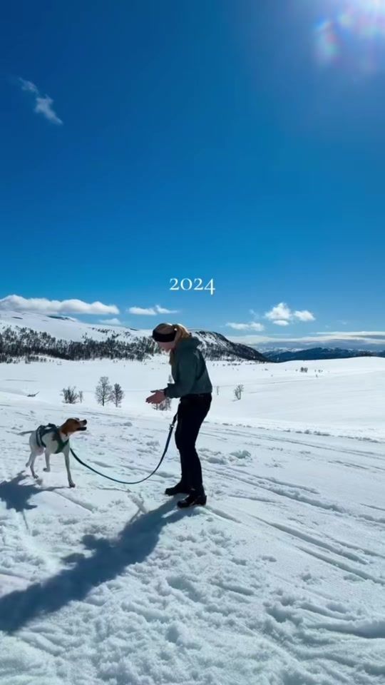 TikTok video thumbnail by elliepirell