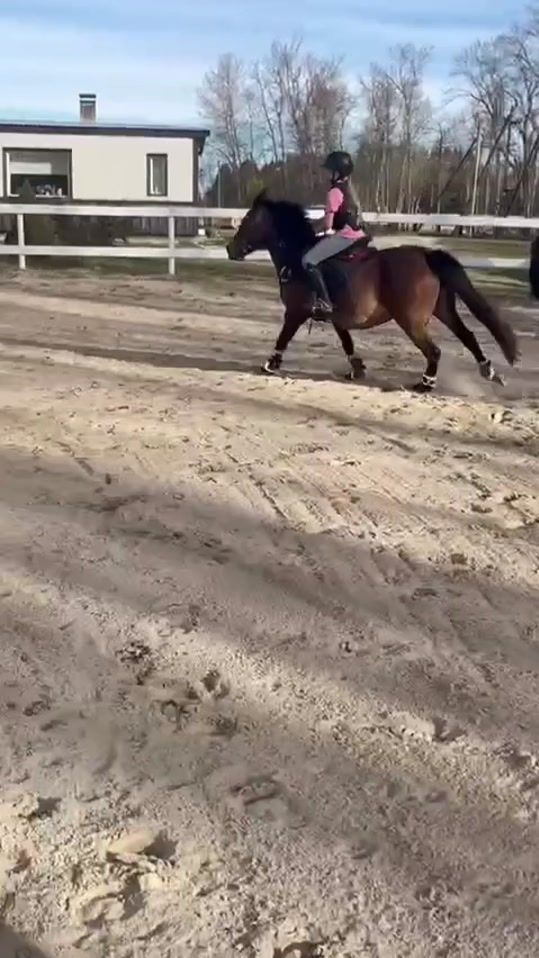 TikTok video thumbnail by primadonna472