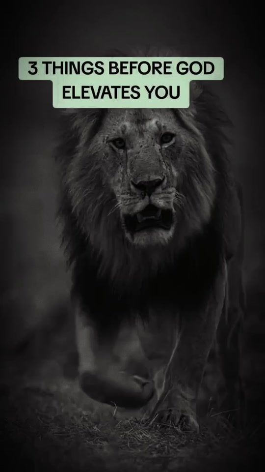 TikTok video thumbnail by motivationabo