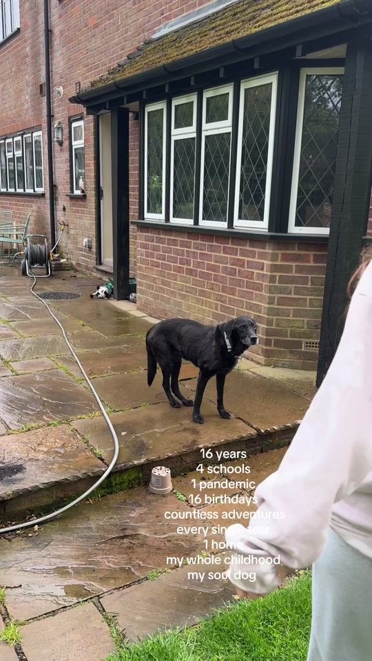 TikTok video thumbnail by _lily.barker