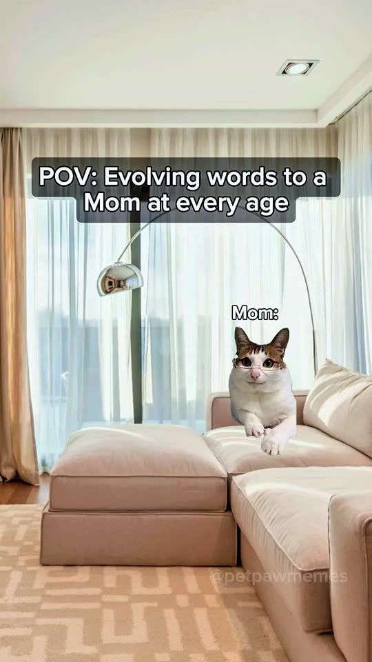 TikTok video thumbnail by petpawmemes