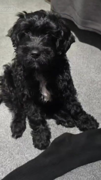 TikTok video thumbnail by lorraine9262