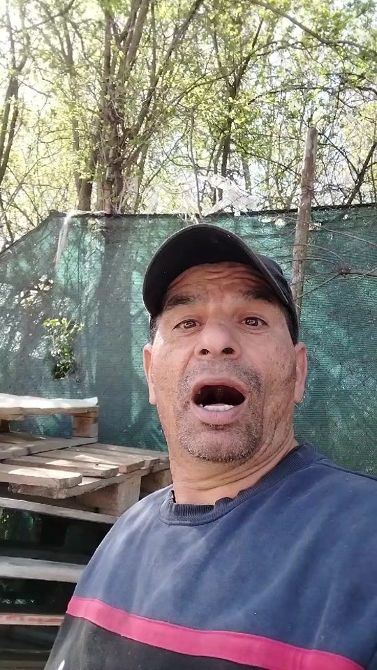 TikTok video thumbnail by user5207348218333