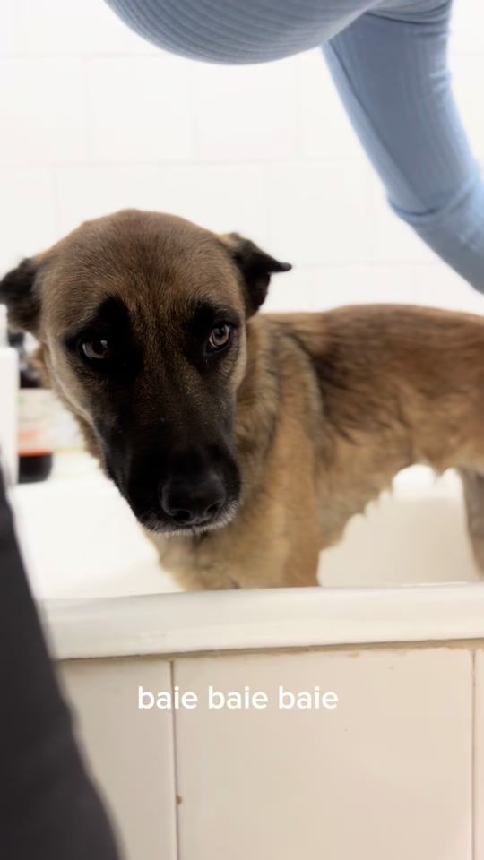 TikTok video thumbnail by lina.themalinois