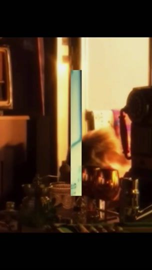 TikTok video thumbnail by fishimurariki