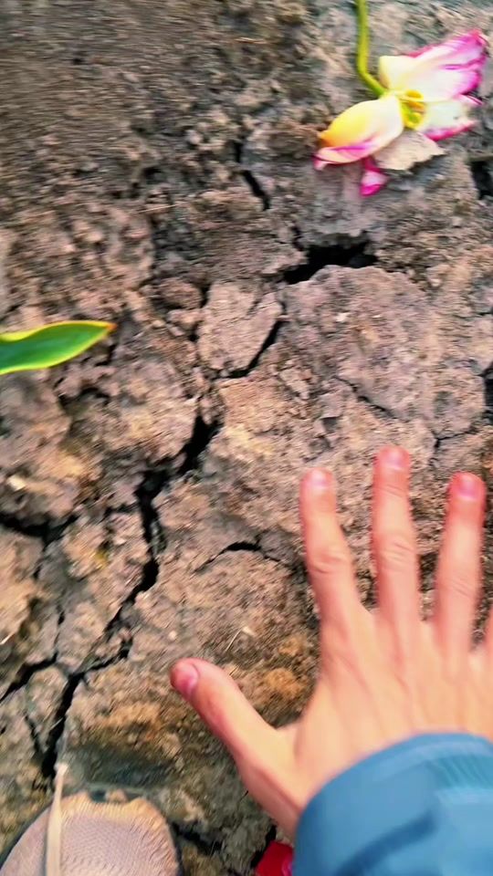 TikTok video thumbnail by mohammedratebbb