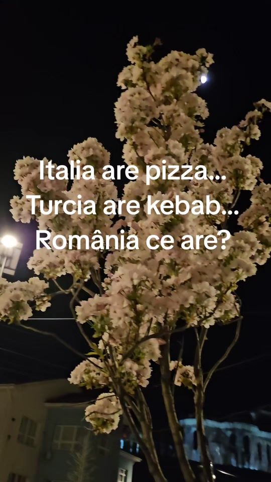 TikTok video thumbnail by monica_tessy