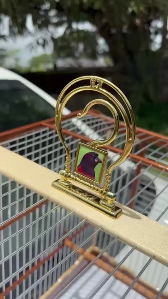 TikTok video thumbnail by haabo.cage