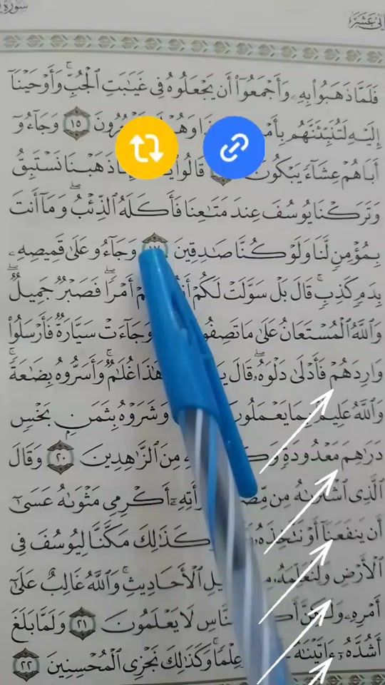 TikTok video thumbnail by mjsalafi1