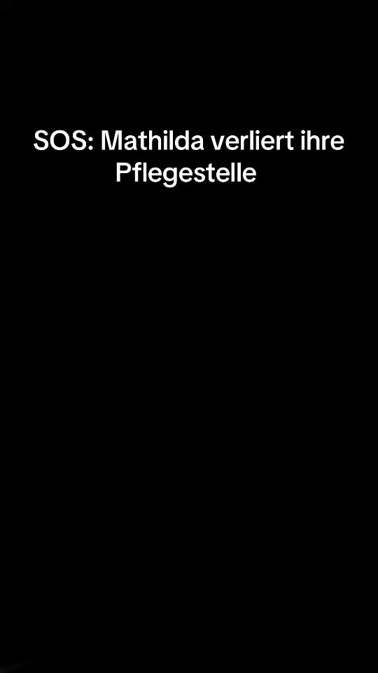 TikTok video thumbnail by tierschutzverein_europa