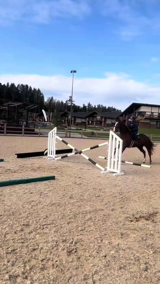 TikTok video thumbnail by eq_milda_x