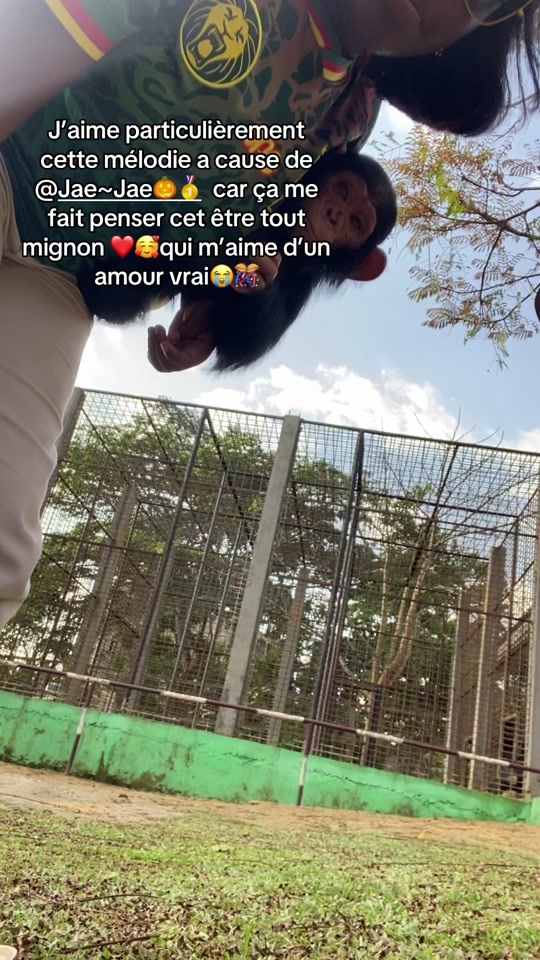 TikTok video thumbnail by marieg301