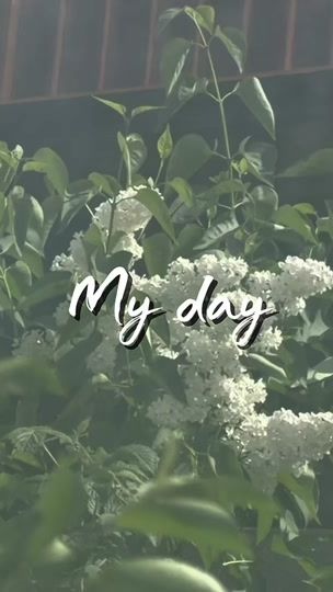 TikTok video thumbnail by almisha_talant01