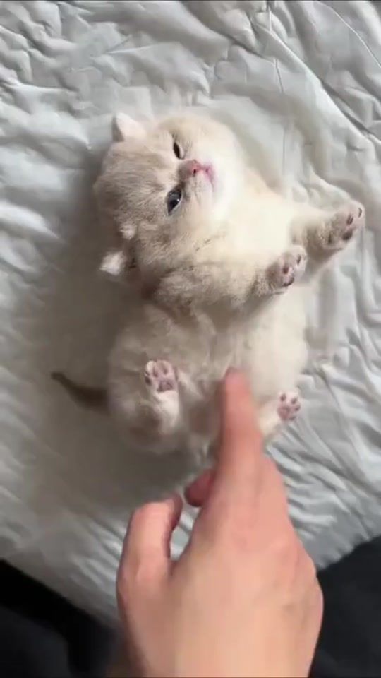 TikTok video thumbnail by kleinklm