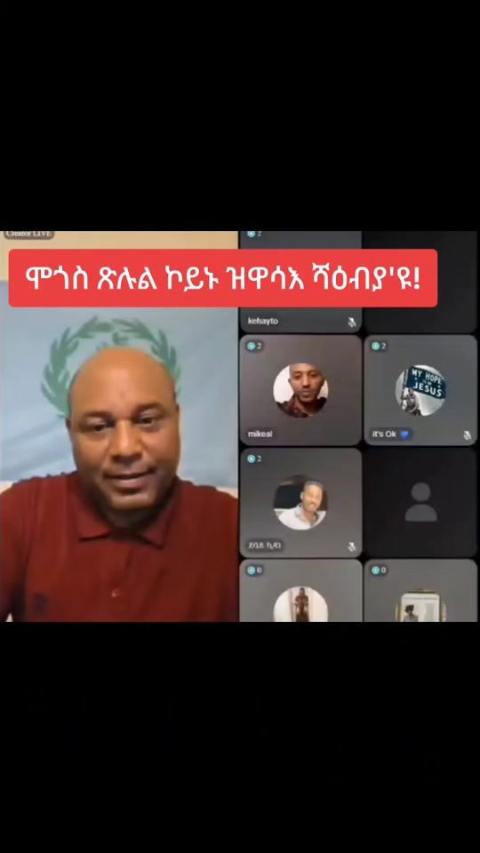 TikTok video thumbnail by .qulfi.gebel