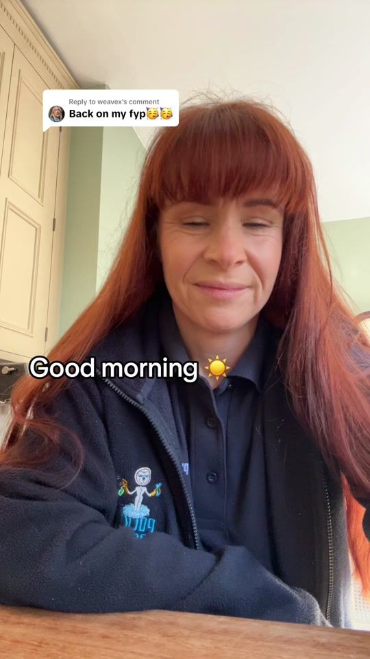 TikTok video thumbnail by pocketrocketscleaning