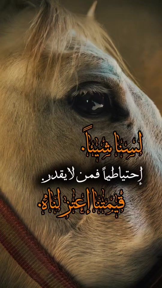 TikTok video thumbnail by o__alfaruq