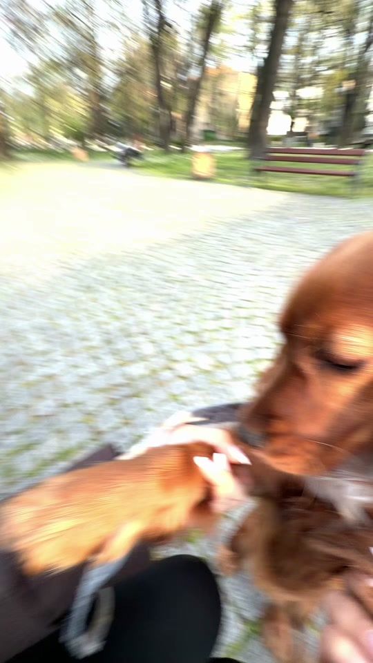 TikTok video thumbnail by nnadezhda_18