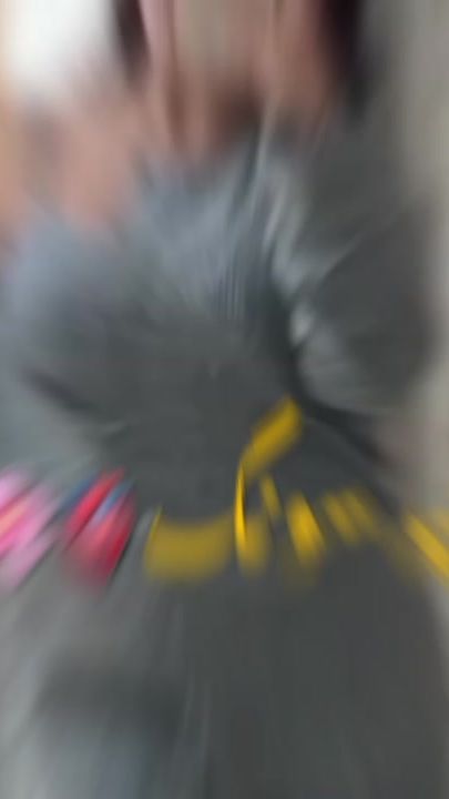 TikTok video thumbnail by rukhasar02