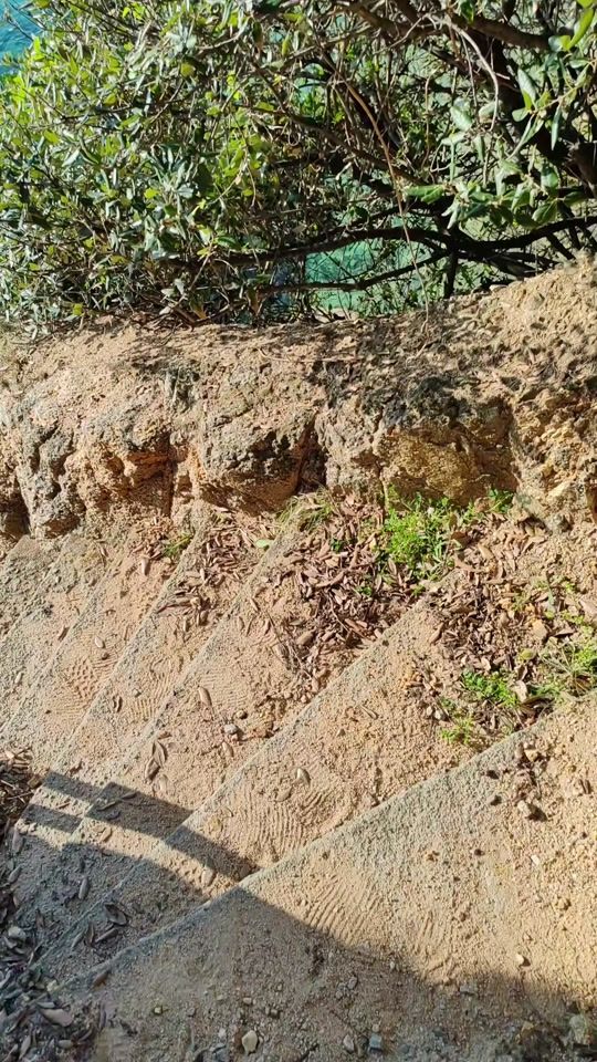 TikTok video thumbnail by ckiwi59