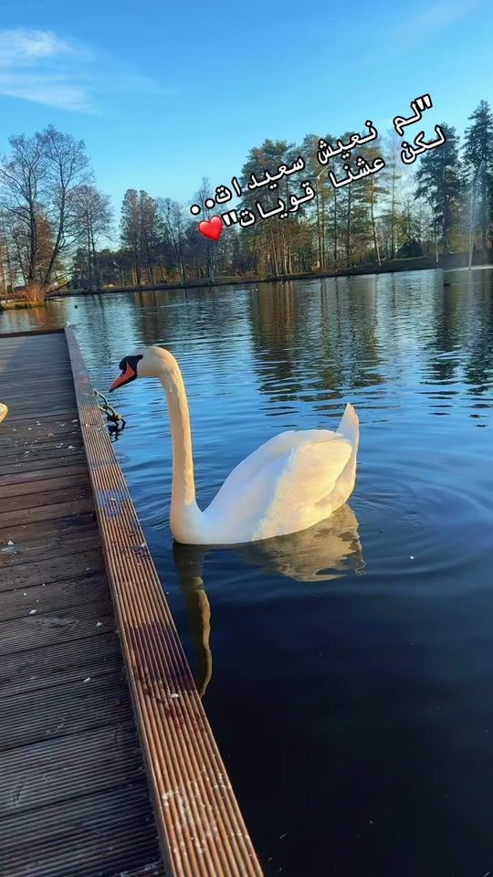 TikTok video thumbnail by omkhaledd15