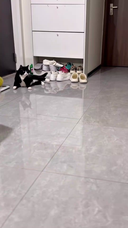 TikTok video thumbnail by glowmart.couk