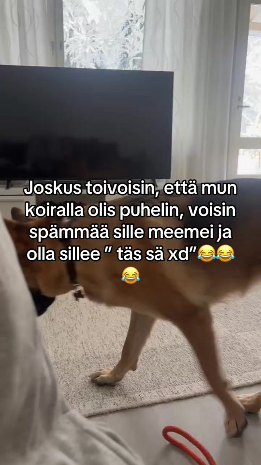 TikTok video thumbnail by vuohimetsanalex