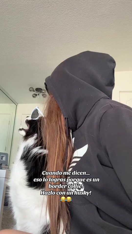 TikTok video thumbnail by ktymorar
