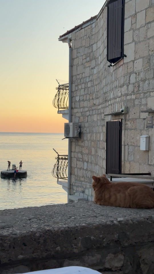 TikTok video thumbnail by stelasequin