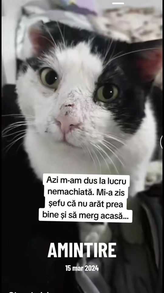 TikTok video thumbnail by gabriella03975