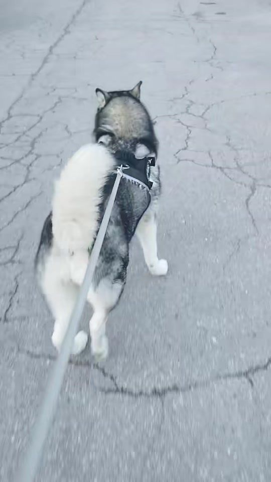 TikTok video thumbnail by sandra.b.o.s