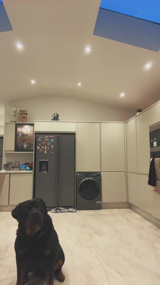 TikTok video thumbnail by reyan.ntp
