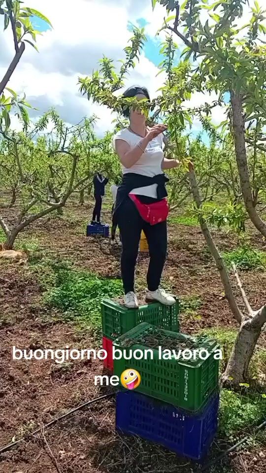 TikTok video thumbnail by eleonoragiuliano9
