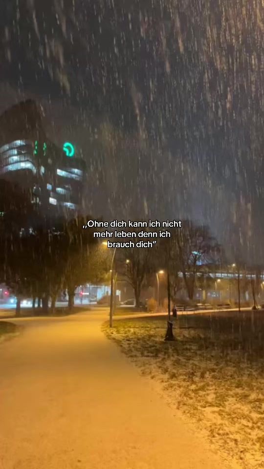 TikTok video thumbnail by user_1210vie