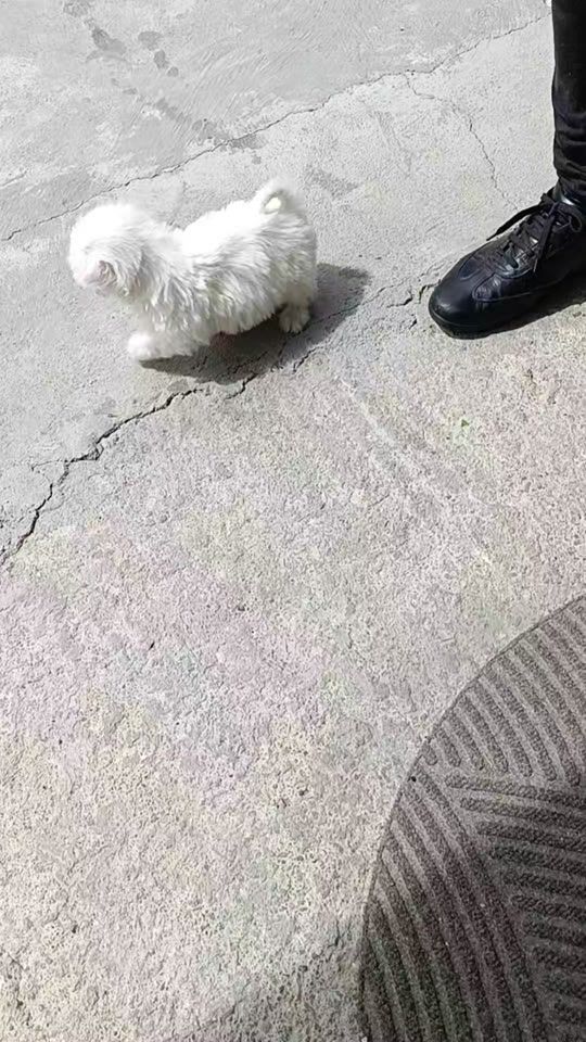 TikTok video thumbnail by helgi34