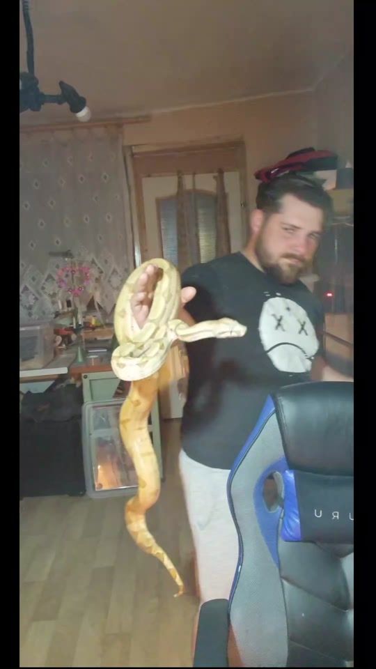 TikTok video thumbnail by seregmrk