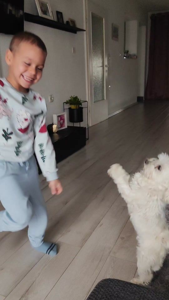 TikTok video thumbnail by life.with.dogs.and.kids