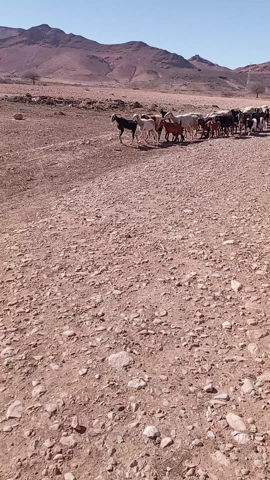 TikTok video thumbnail by hasni89_