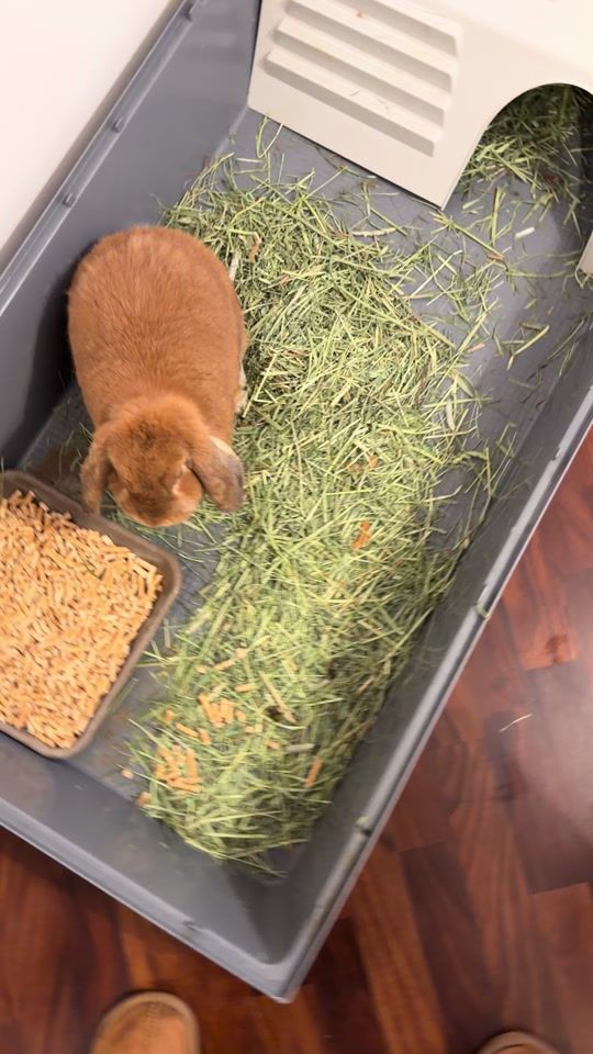 TikTok video thumbnail by benedettaferranti