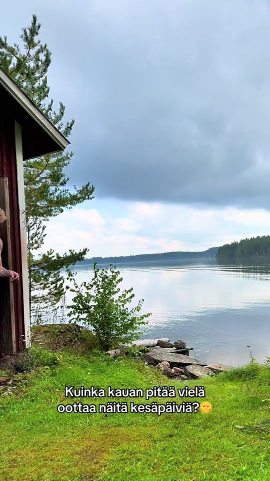 TikTok video thumbnail by wilhoo