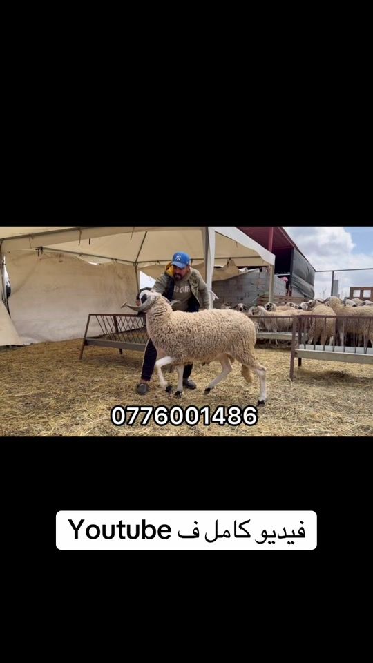 TikTok video thumbnail by _yasservlogs