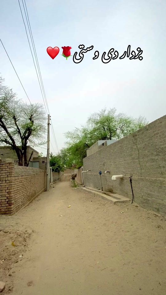 TikTok video thumbnail by buzdardiwasti