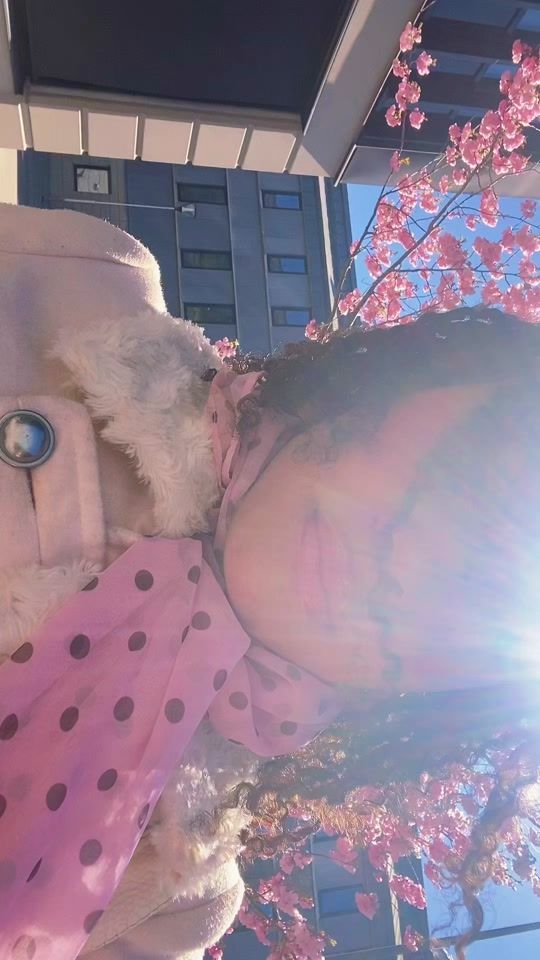 TikTok video thumbnail by stupidnin