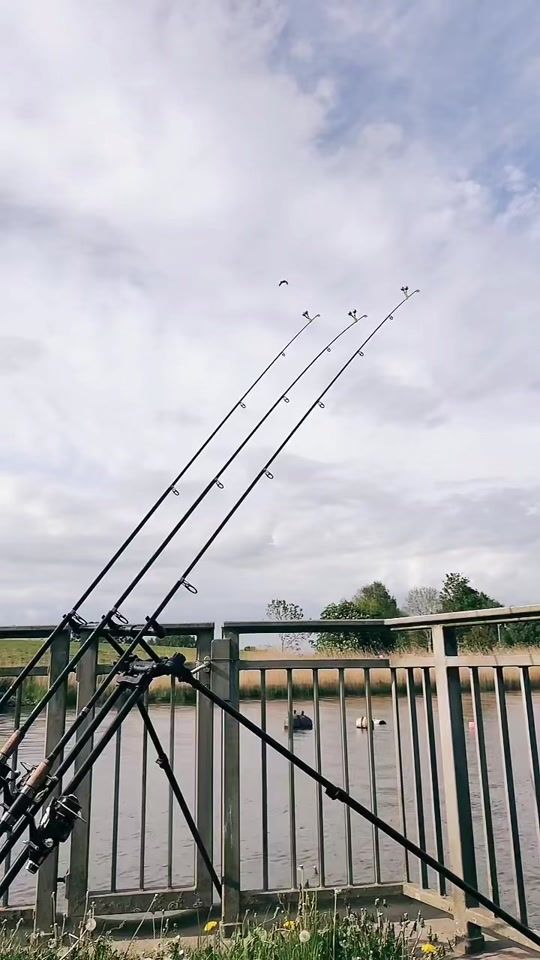 TikTok video thumbnail by carpd1988