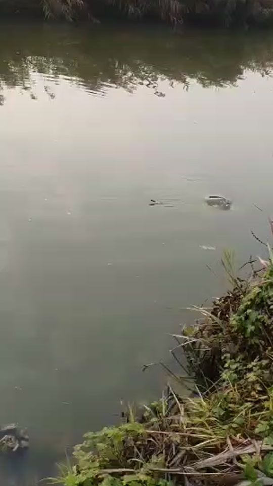 TikTok video thumbnail by paul_gio