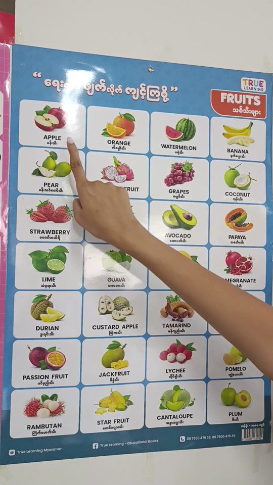 TikTok video thumbnail by truelearningmyanmar