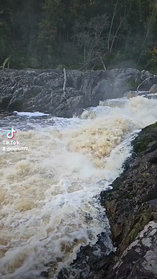TikTok video thumbnail by 25byms7
