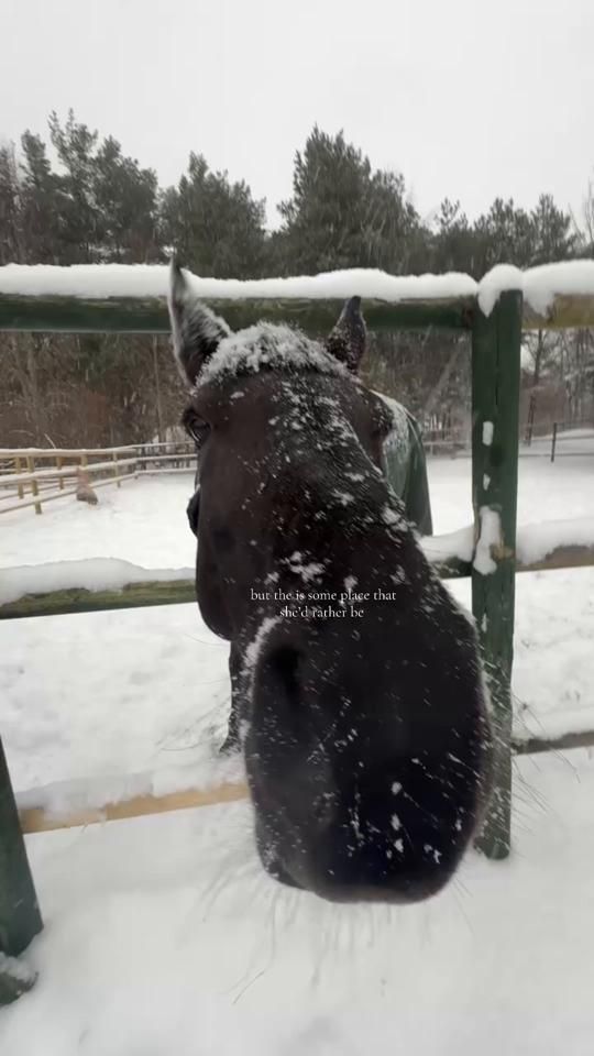 TikTok video thumbnail by karliina_eq