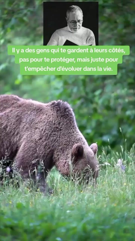 TikTok video thumbnail by aigle.verite